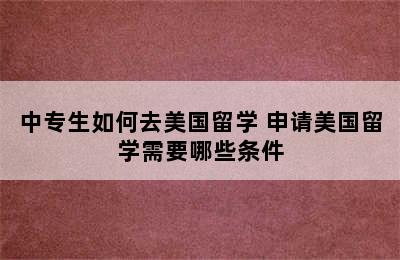 中专生如何去美国留学 申请美国留学需要哪些条件